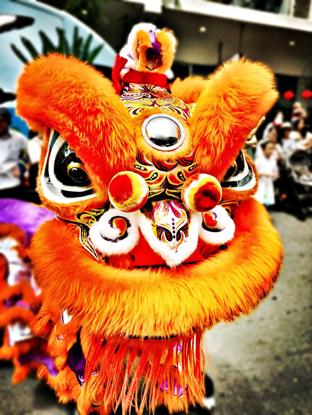 Photo of the head of an orange dragon. It has two huge black eyes, topped by two huge furry eyebrows. 

Photo de la tête d’un dragon, de couleur orange. Il a deux énormes yeux noirs, surplombé par deux énormes sourcils en fourrure
